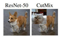 [P stage 2 DAY 43] Object Detection (7)