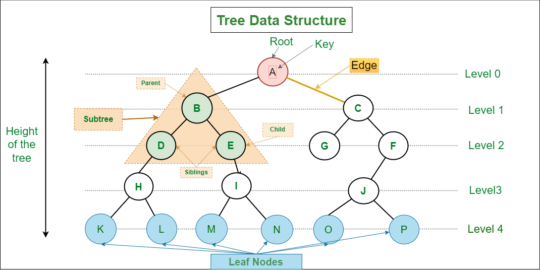Binary Tree