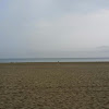 comment-user-thumbnail