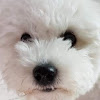 Velog profile picture for @eager