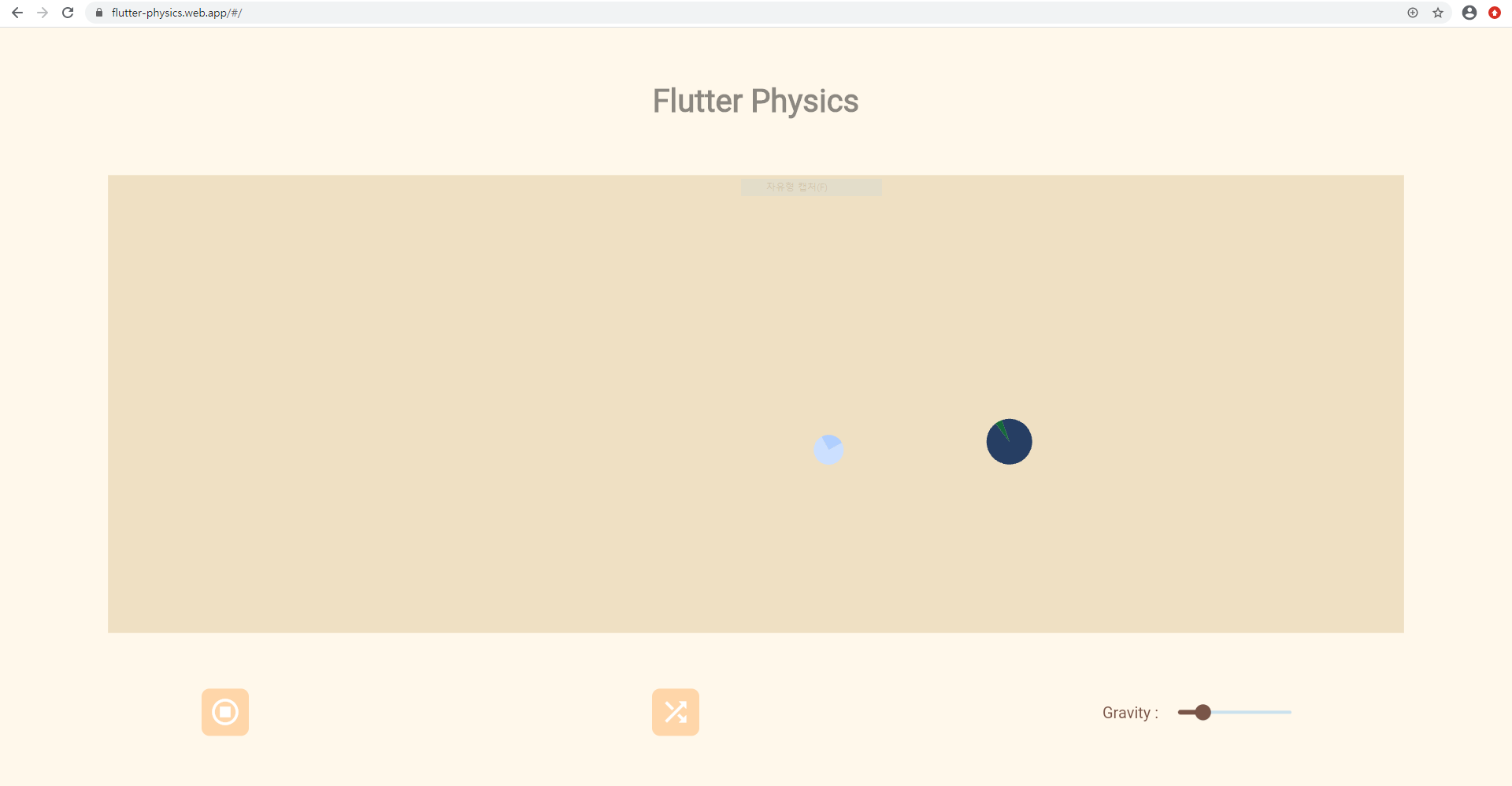Flutter Physics