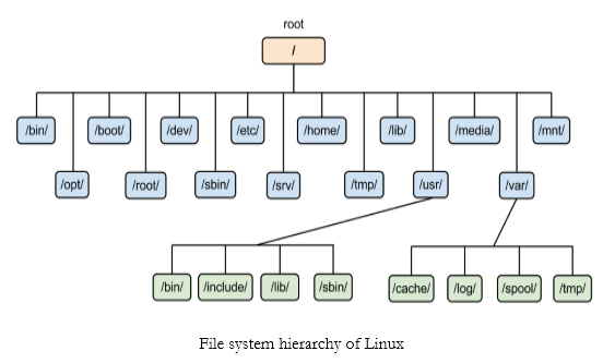 [TIL] Linux & Terminal