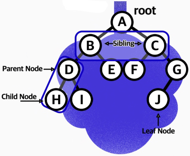 자료구조 Graph, Tree, BST