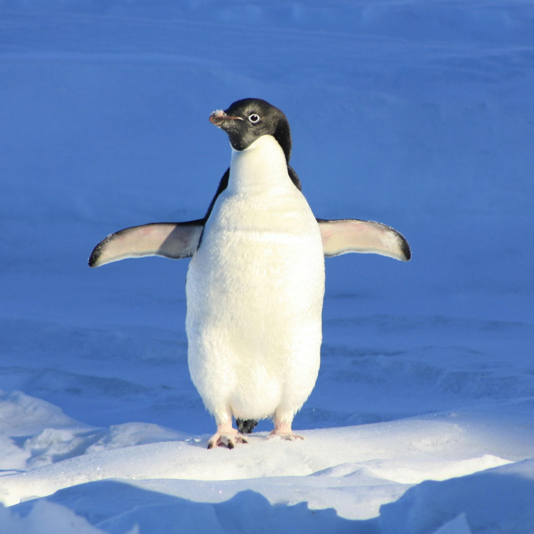 Elenakimistp Elena Kim Velog