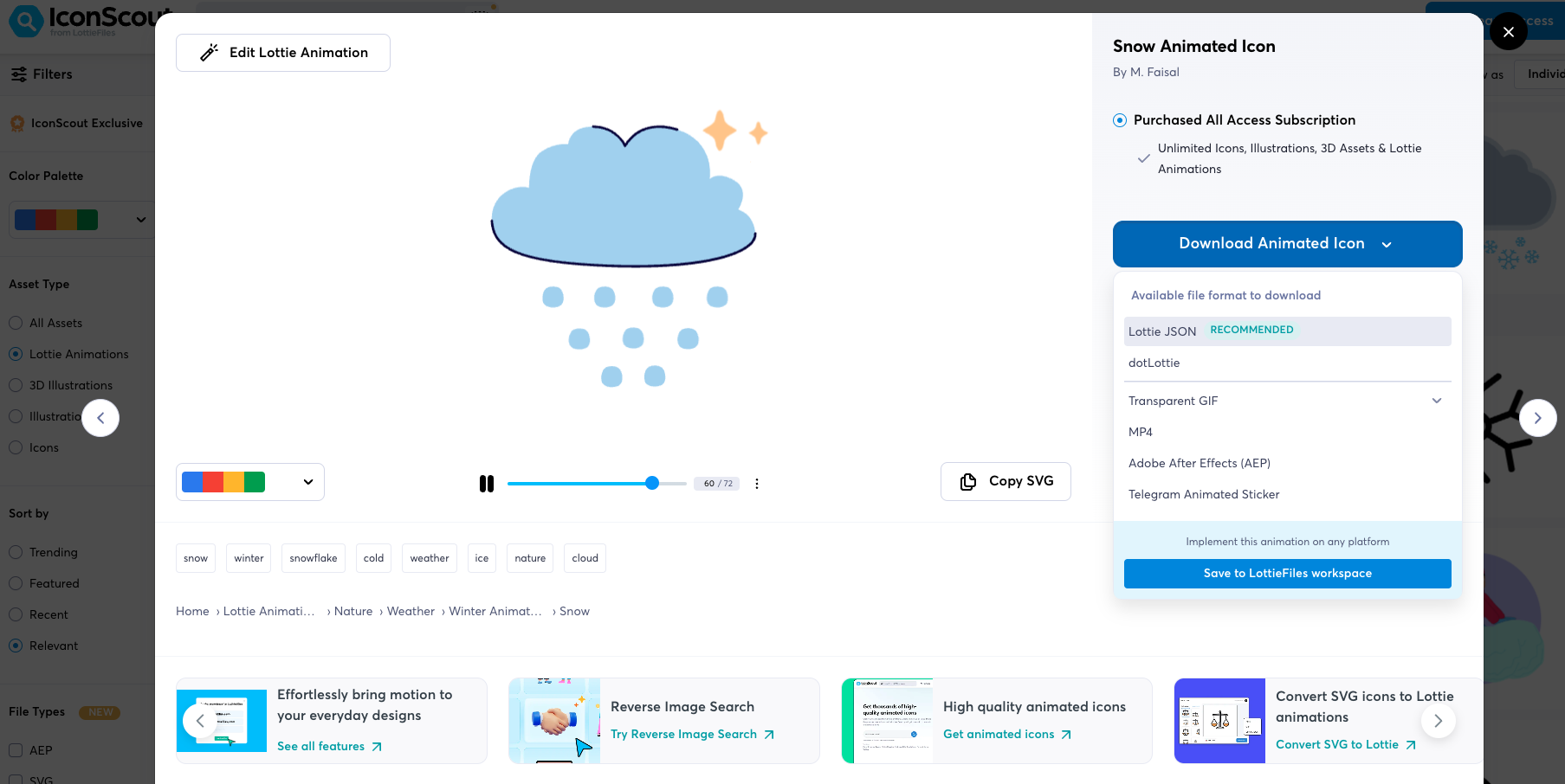 [react-lottie] Iconscout Lottie 사용하기