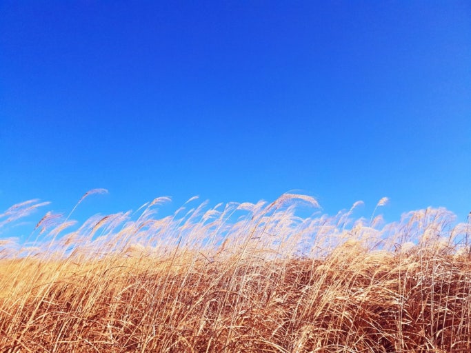 comment-user-thumbnail