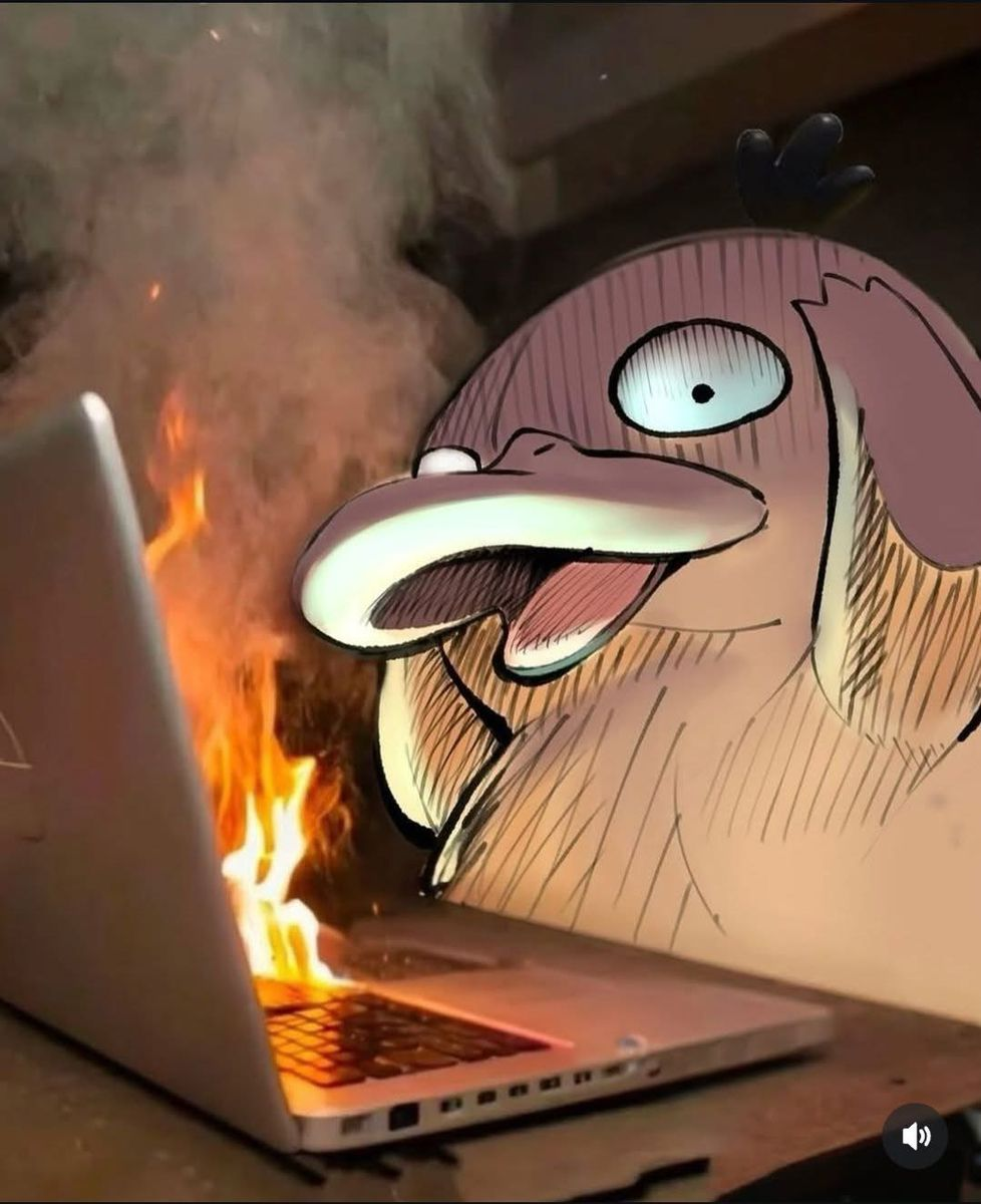 Velog profile picture for @fry
