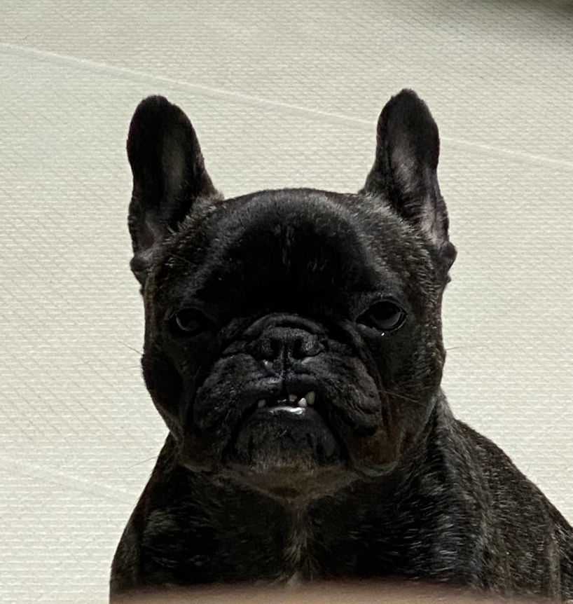 comment-user-thumbnail