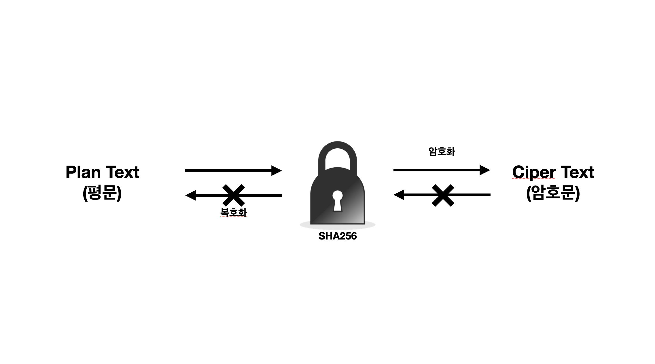 단방향 암호화