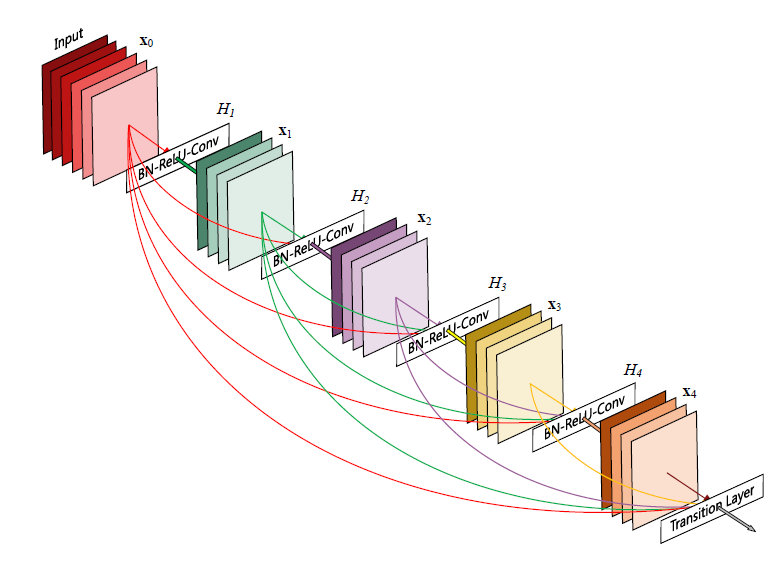 denseNet 구조