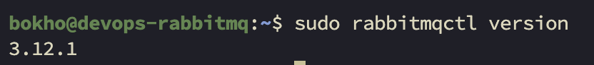 RabbitMQ 버전 확인 명령어
