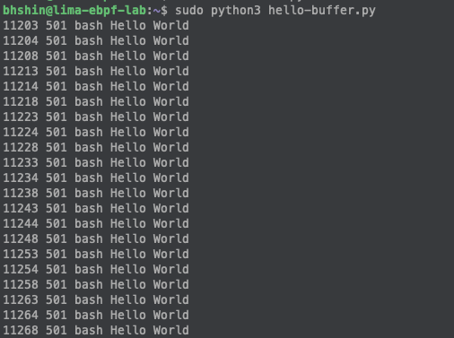 hello-buffer.py 실행 출력
