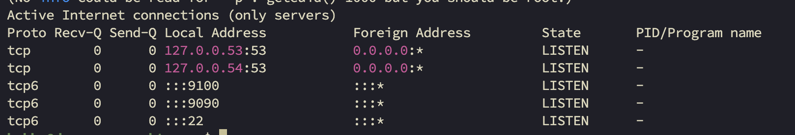 netstat 실행 결과