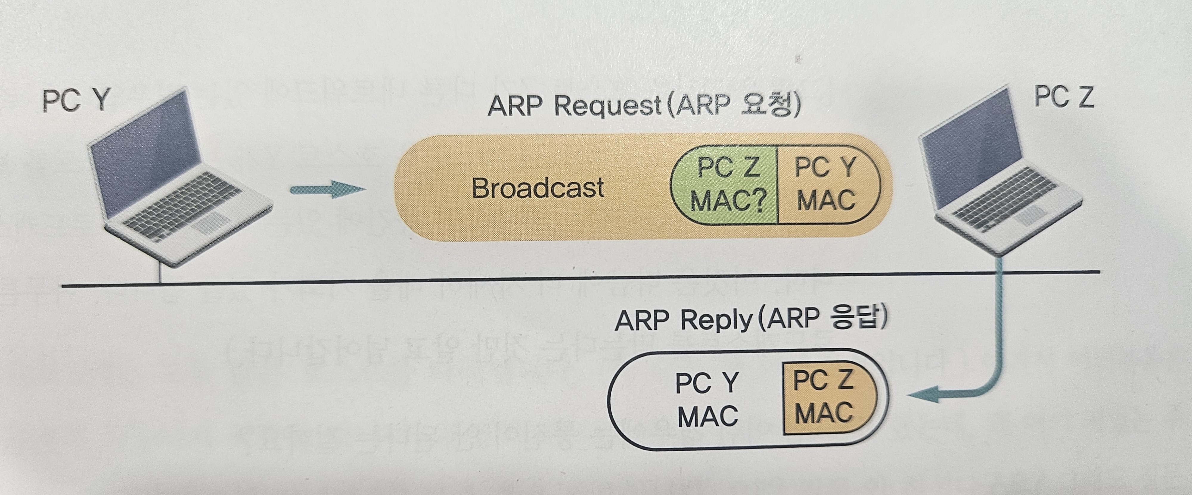 ARP 요청과 응답 1