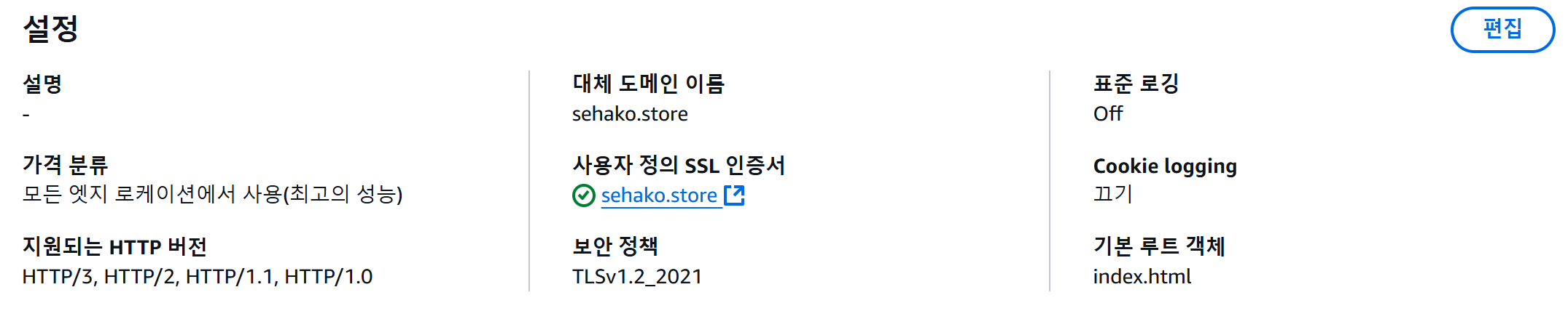 대체 도메인 설정 완료