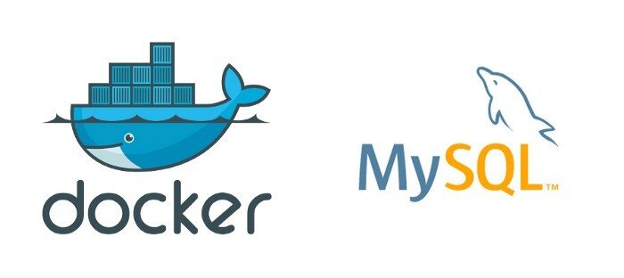 docker and mysql