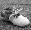 comment-user-thumbnail