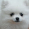 Velog profile picture for @goodness