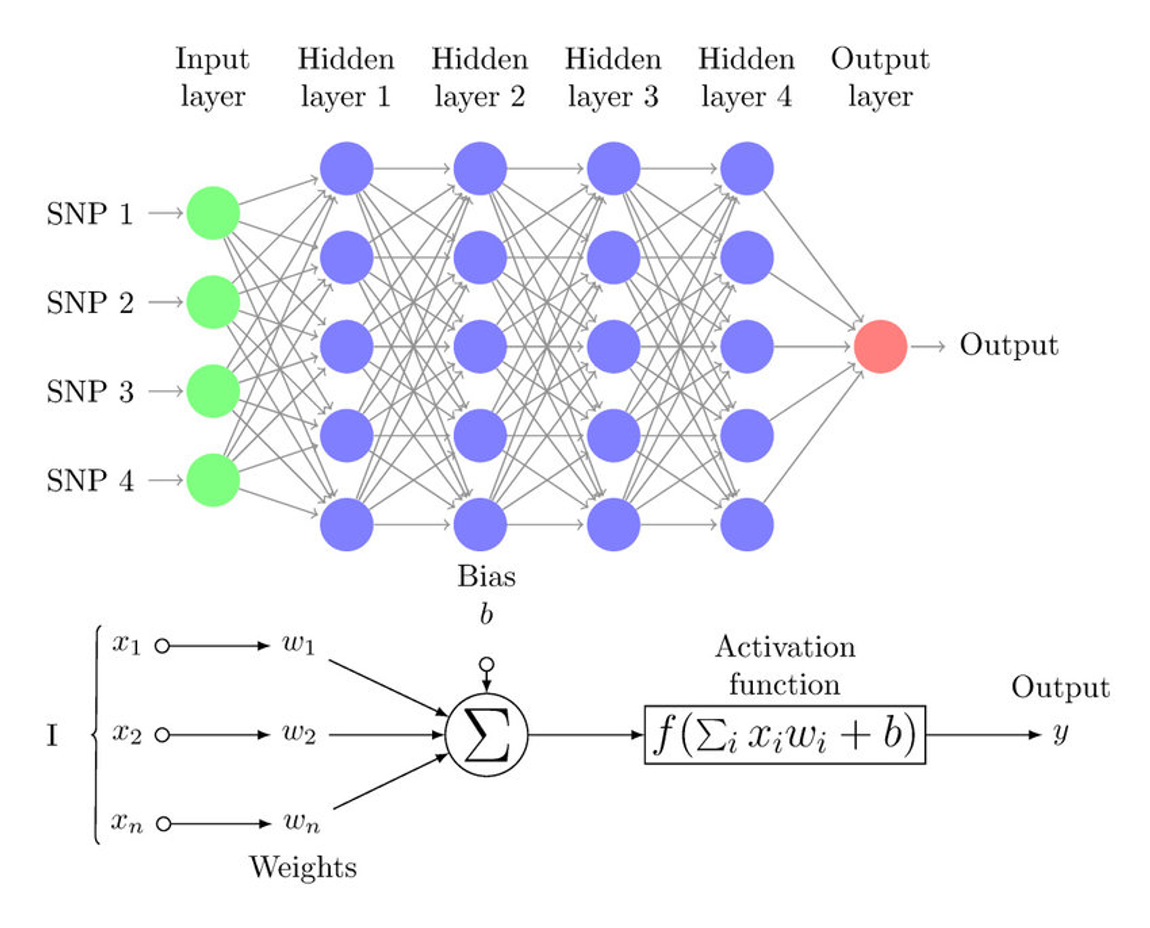 [Network] Multi-Layer Perceptron (MLP)