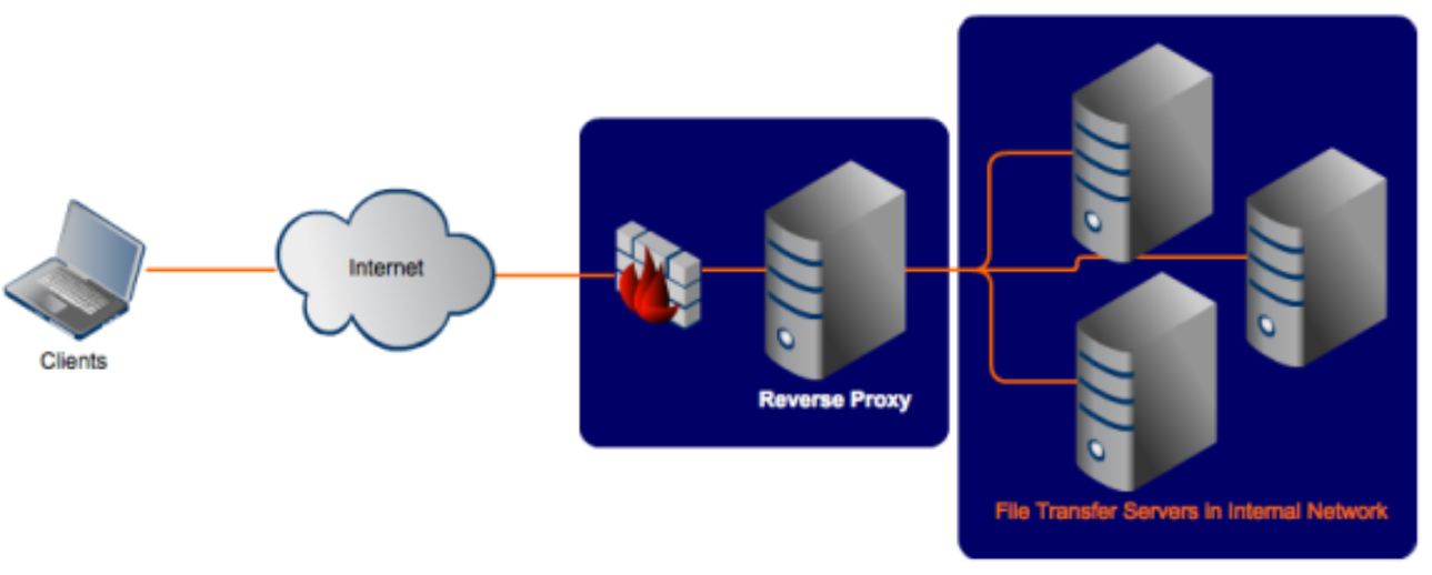 Rproxy Image Proxy