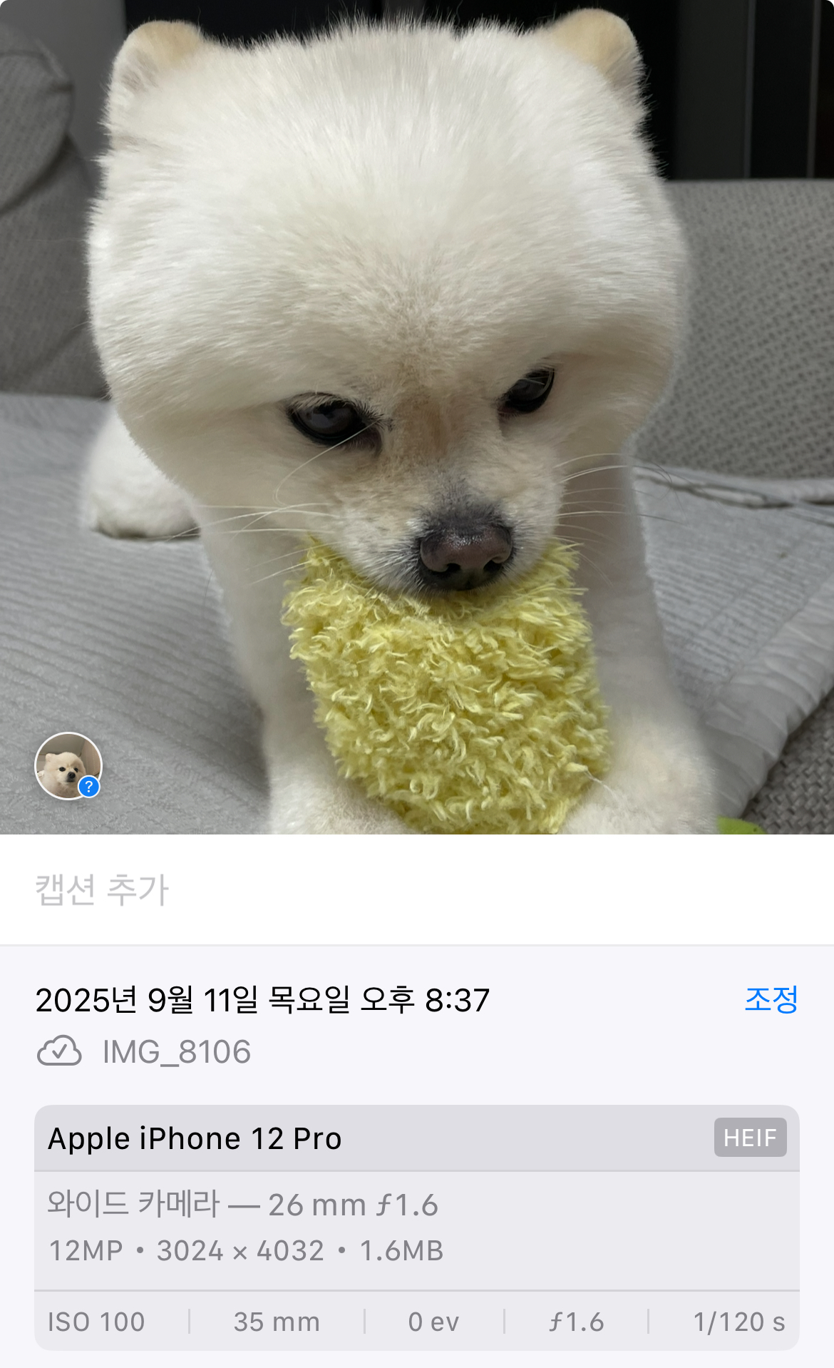 실제 사진