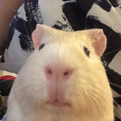 comment-user-thumbnail