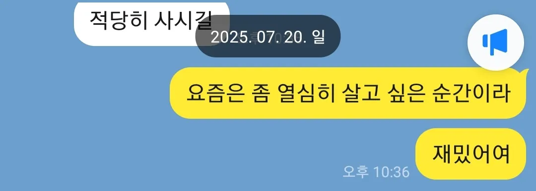 개발자의 성장, 취업 전략, 그리고 꾸준함: 8월의 성찰과 교훈