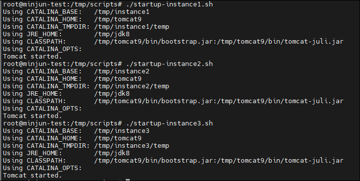 Tomcat - Clustering: Cluster Setup (1)