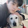 comment-user-thumbnail