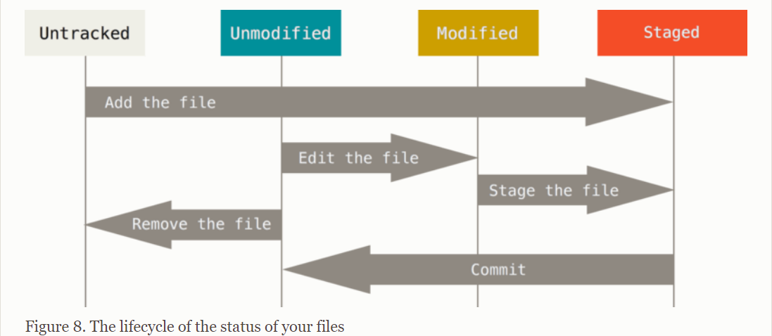 git과 GitHub