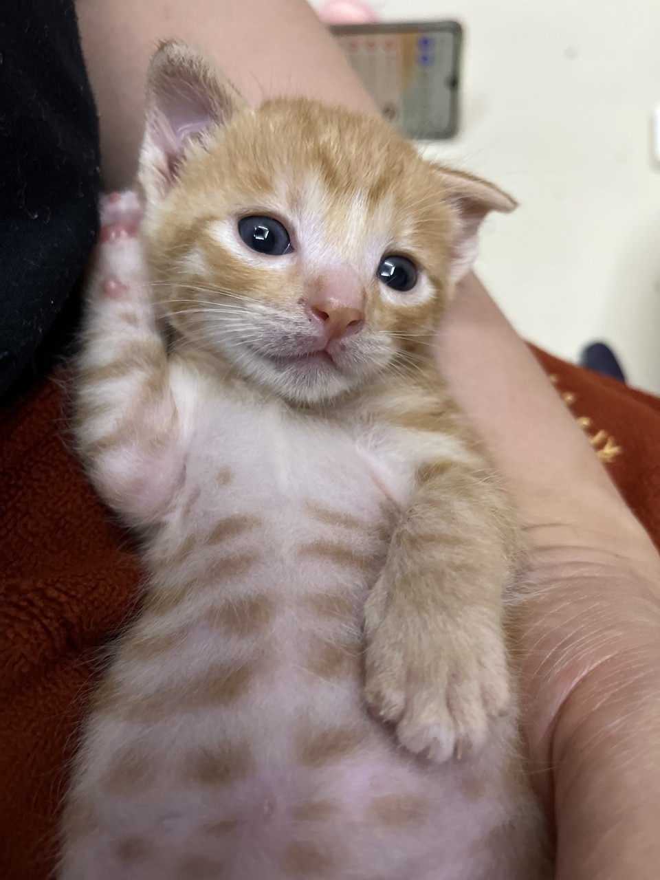 comment-user-thumbnail