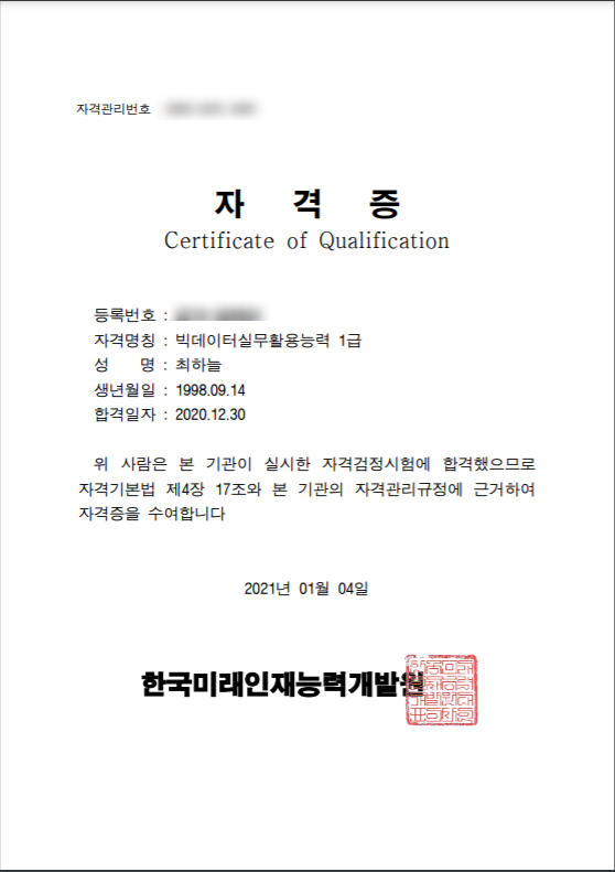 빅데이터실무활용능력 1급 자격증