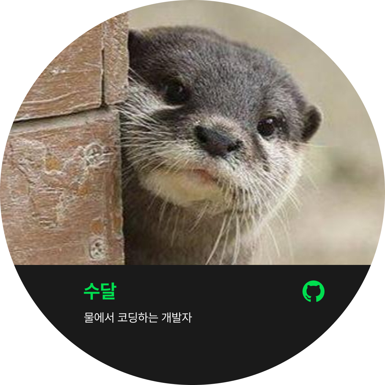 Headring SANGHYUN KIM Velog