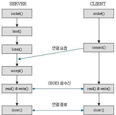 [TCP/IP 프로그래밍]