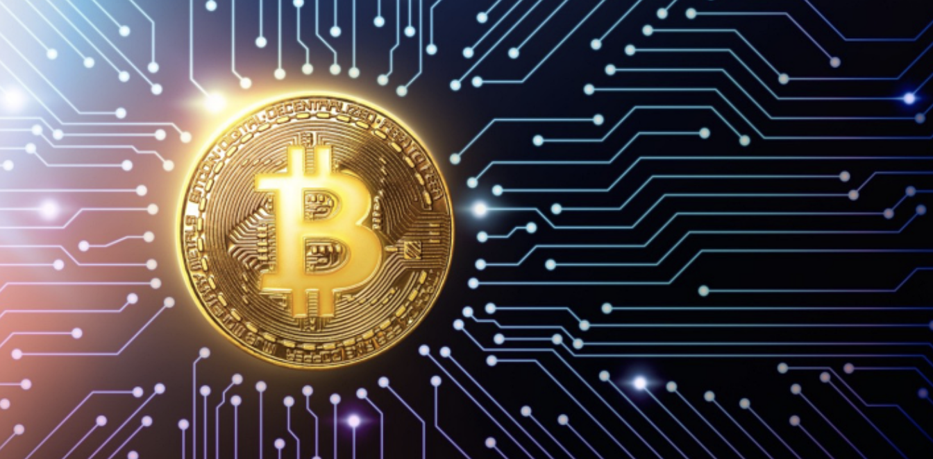 비트코인 - velog