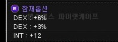메이플 옵션