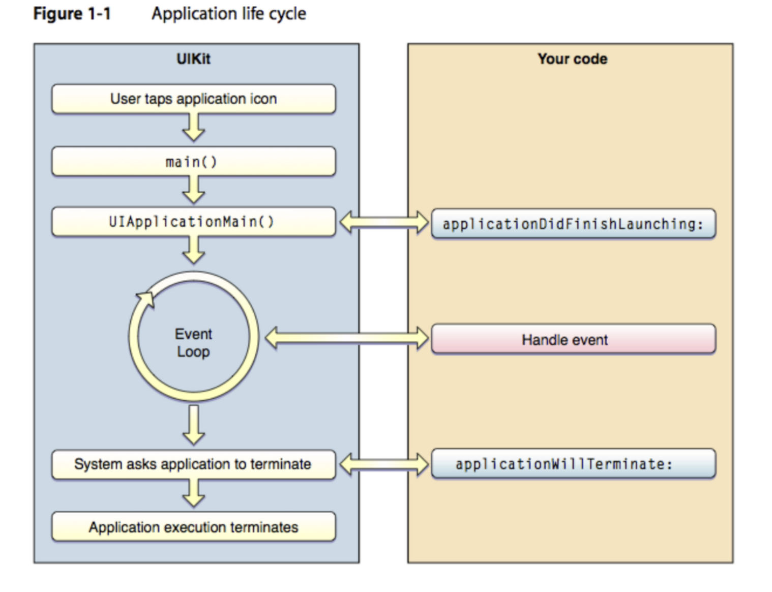 Application Life Cycle