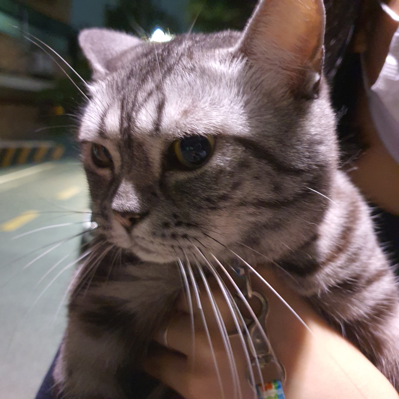 comment-user-thumbnail