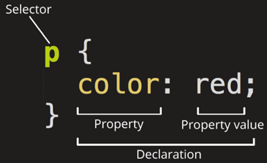 TIL 1 | HTML & CSS (1)