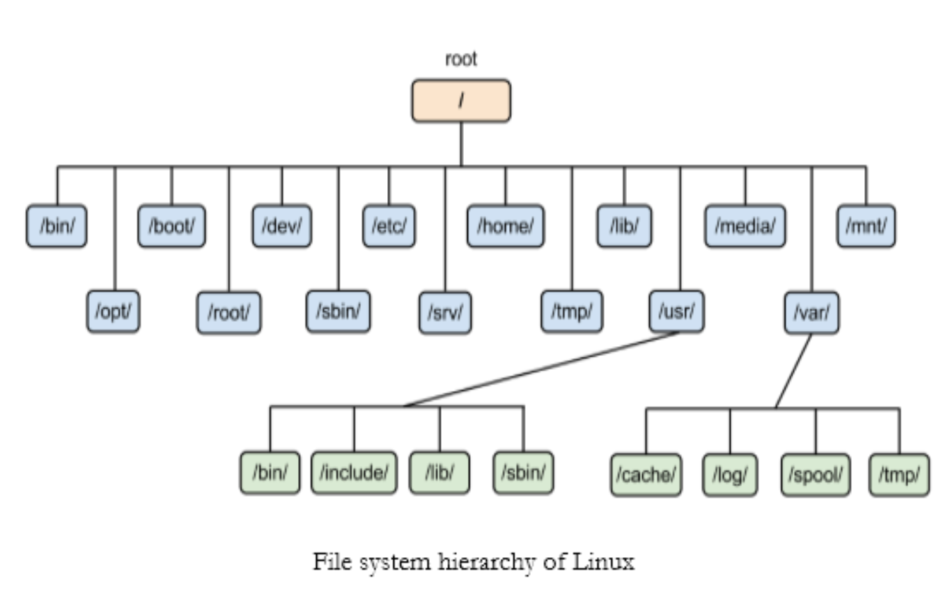 Linux & Terminal