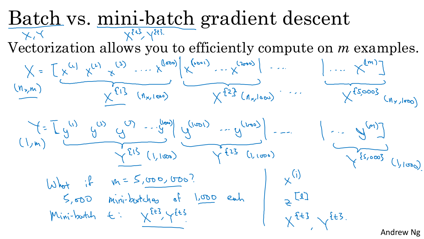Optimization Algorithms
