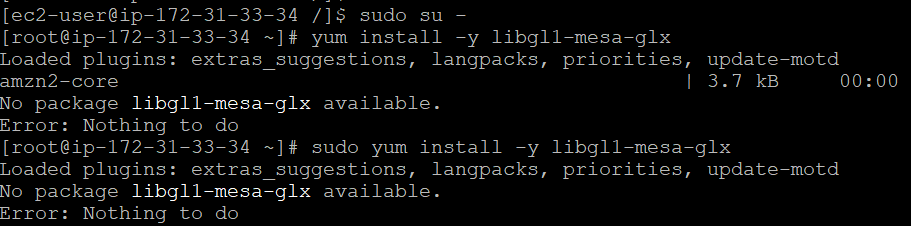 ImportError: libGL.so.1: cannot open shared object file: No such file ...