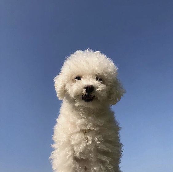 memo,useCallback 으로 불필요한 렌더링 줄이기