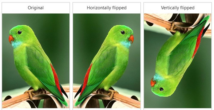 https://www.google.com/url?sa=i&url=https%3A%2F%2Fwww.analyticsvidhya.com%2Fblog%2F2022%2F04%2Fmaster-image-augmentation-with-widely-used-python-libraries%2F&psig=AOvVaw1KUx8hjn9Ypi-mJDOoWVnh&ust=1746308025552000&source=images&cd=vfe&opi=89978449&ved=0CBQQjRxqFwoTCICZ-7_ehY0DFQAAAAAdAAAAABAE