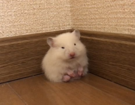 post-thumbnail