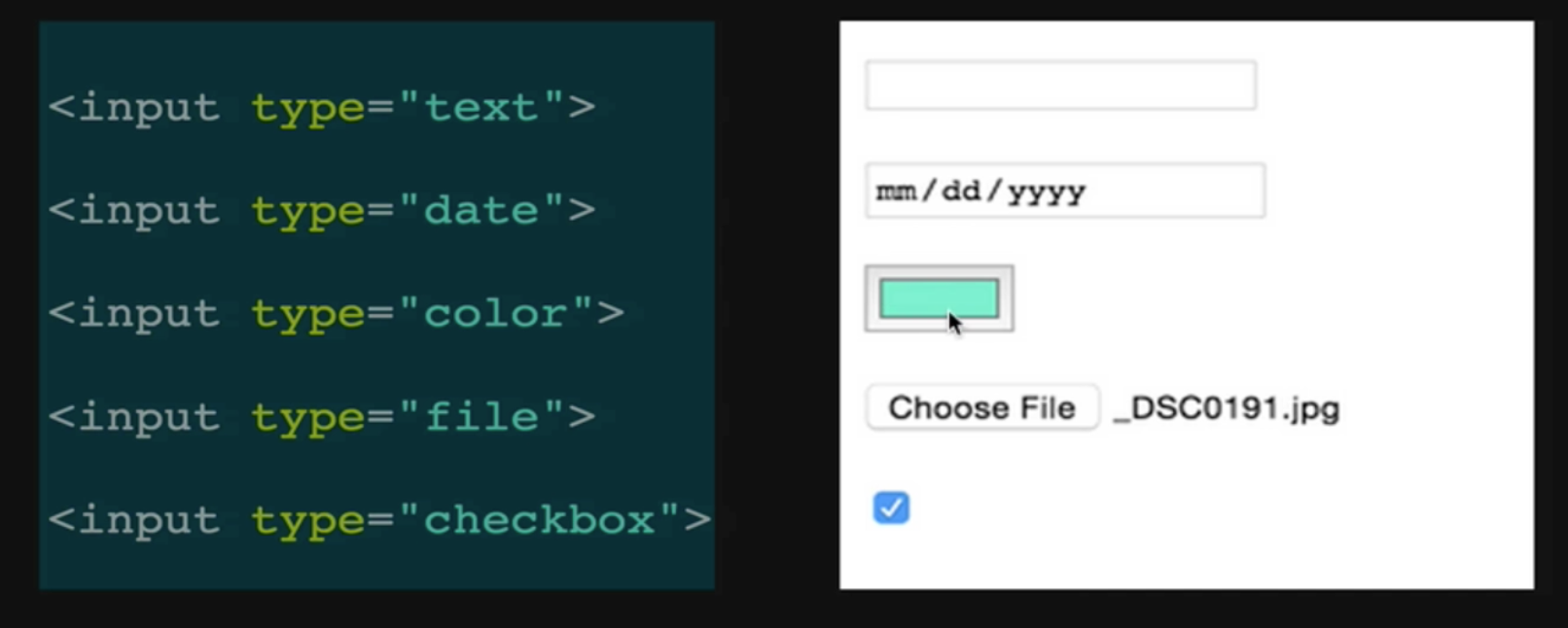 TIL 02 | HTML, form과 input