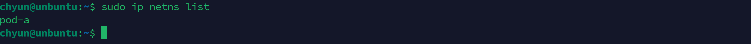 Network Namespace 조회 결과