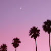 comment-user-thumbnail