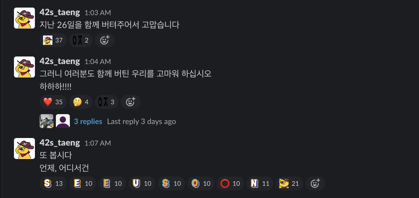 라피신 7기 2차 후기 라피신 7기 2차 후기