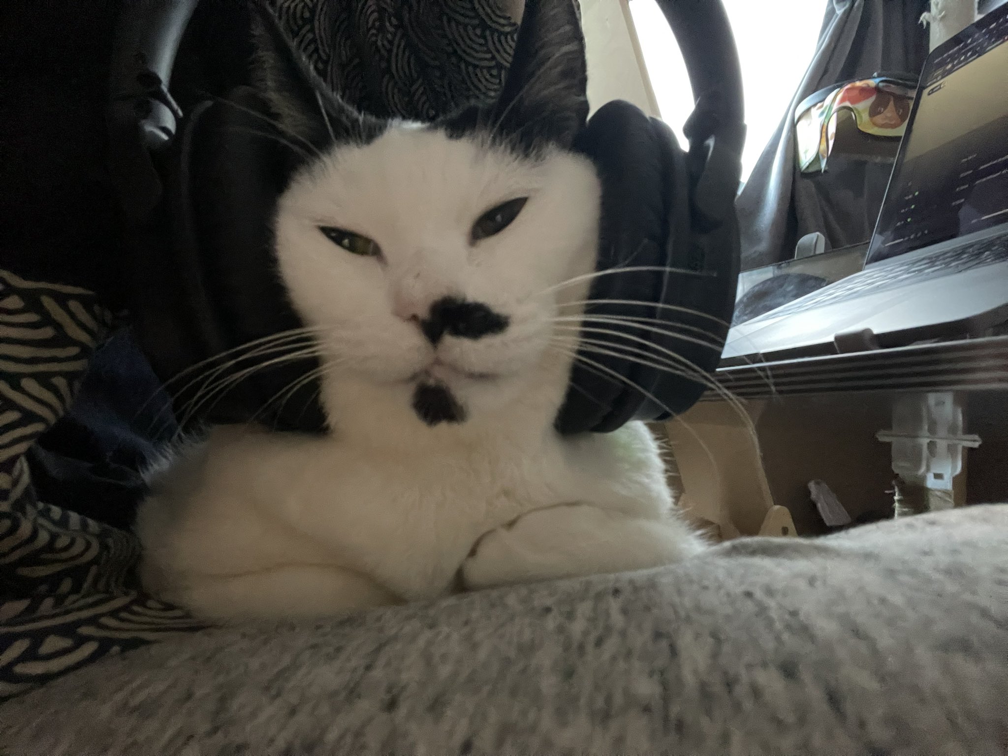 comment-user-thumbnail